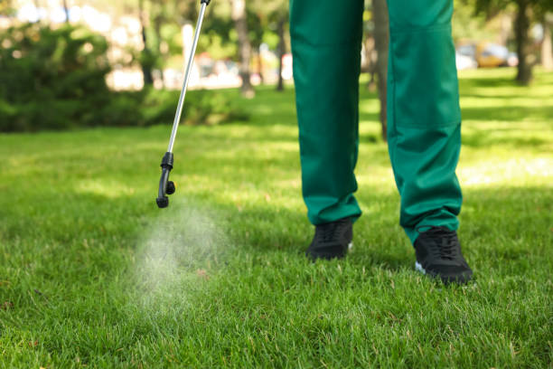Best Cockroach Control Services  in Beaver, OK
