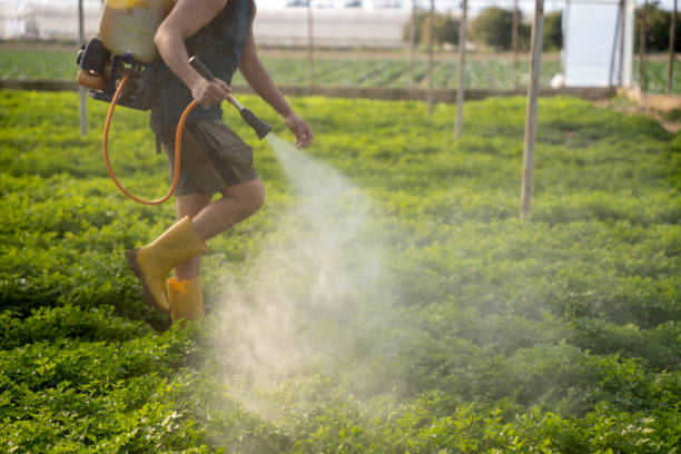 Best Exterminator Services  in Beaver, OK