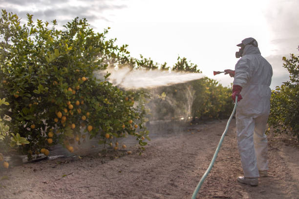 Best Insect Control  in Beaver, OK