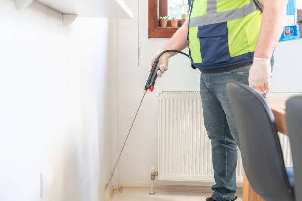 Best Termite Control Services  in Beaver, OK