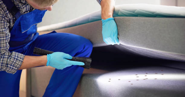 Reliable Beaver, OK Pest Control Solutions