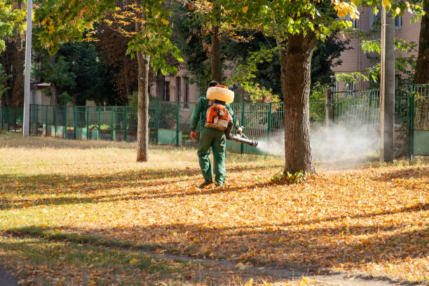 Best Pest Prevention Services  in Beaver, OK