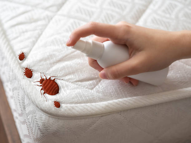 Best Best Pest Control Companies  in Beaver, OK