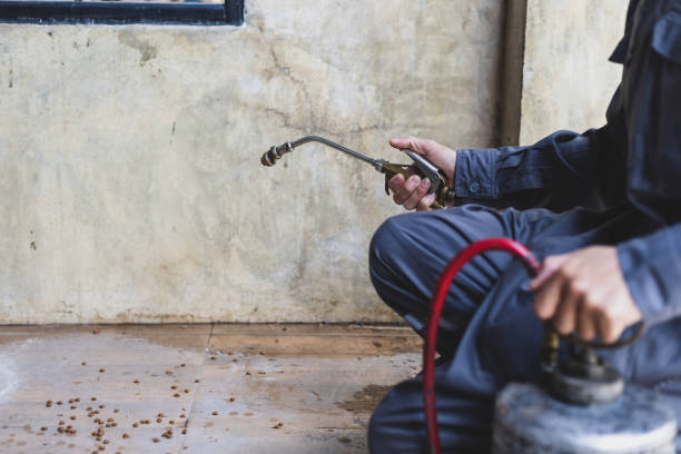 Best Pest Control Near Me  in Beaver, OK