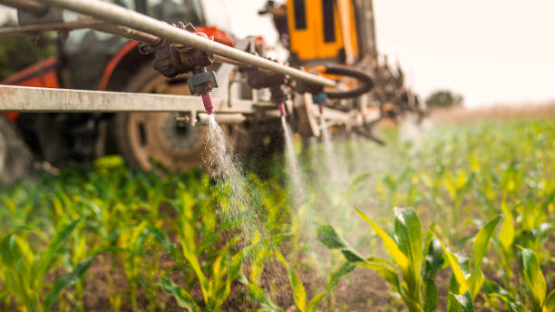 Best Pest Control Cost  in Beaver, OK